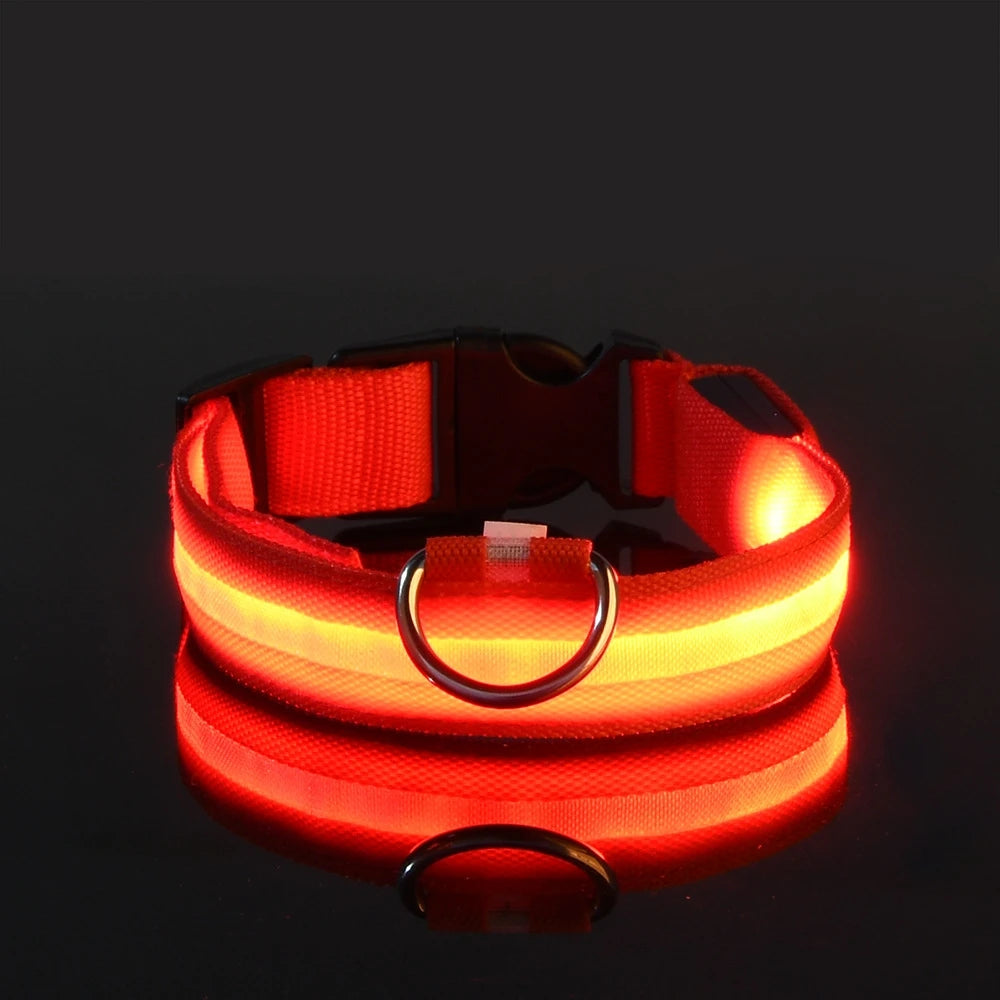 Fido's Plushes™ Glow In the Dark Dog Leash