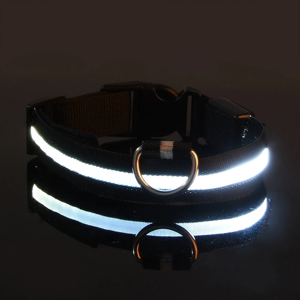 Fido's Plushes™ Glow In the Dark Dog Leash