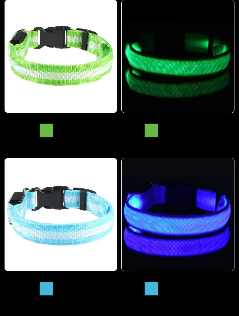 Fido's Plushes™ Glow In the Dark Dog Leash