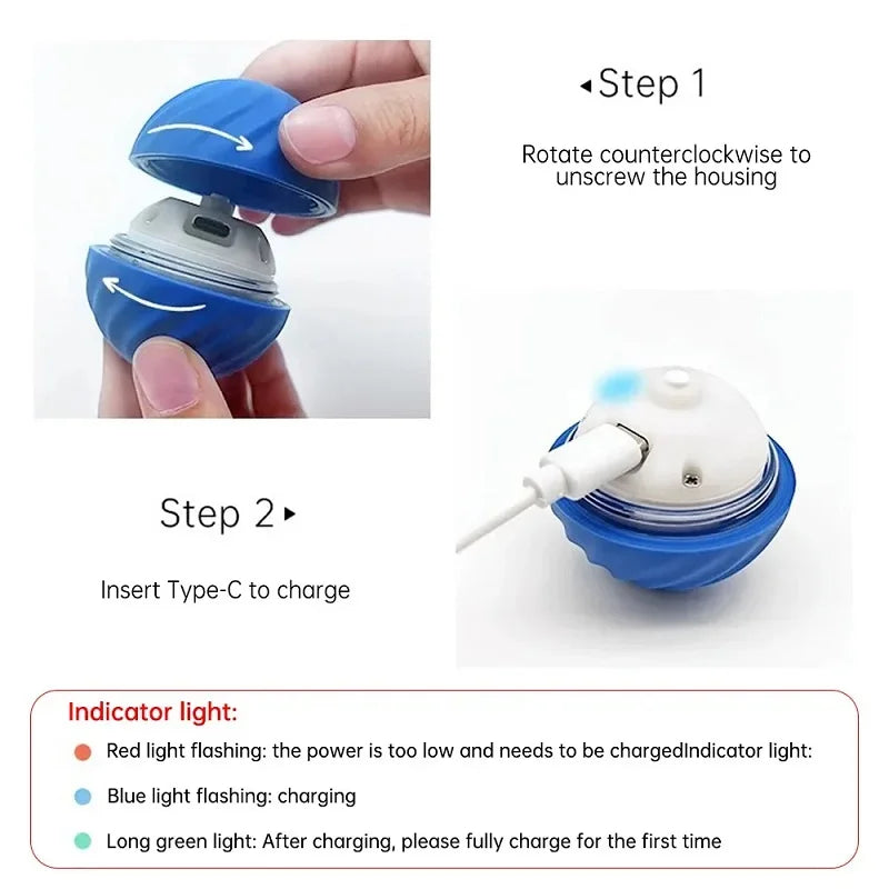 MyInteractiveToy™ Electric Toy Ball