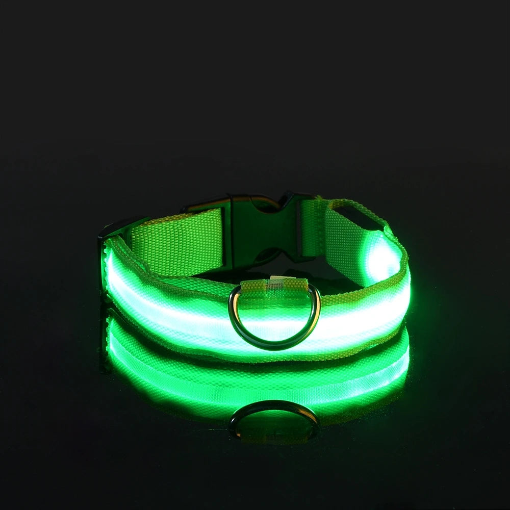 Fido's Plushes™ Glow In the Dark Dog Leash