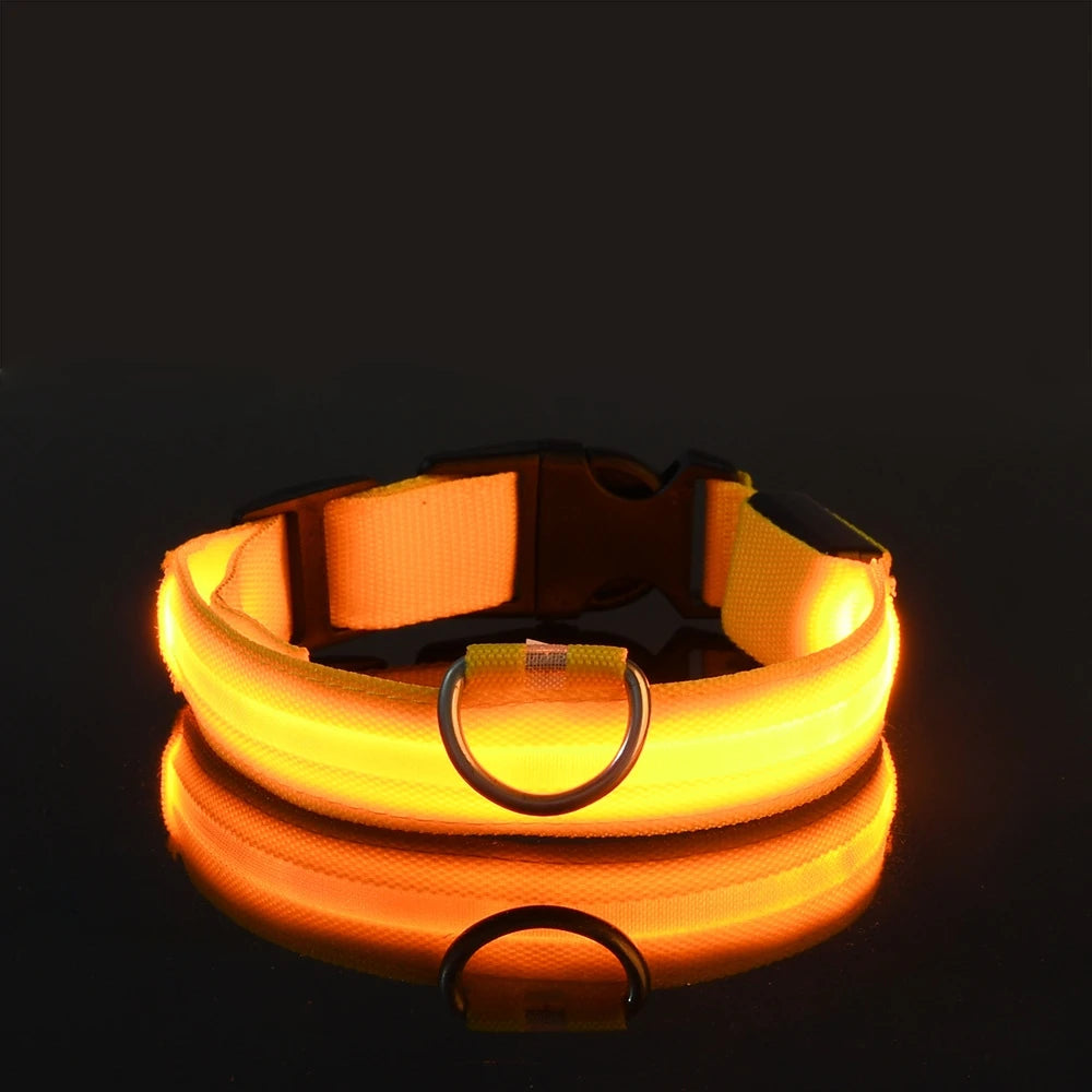 Fido's Plushes™ Glow In the Dark Dog Leash