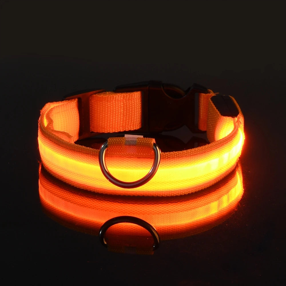 Fido's Plushes™ Glow In the Dark Dog Leash