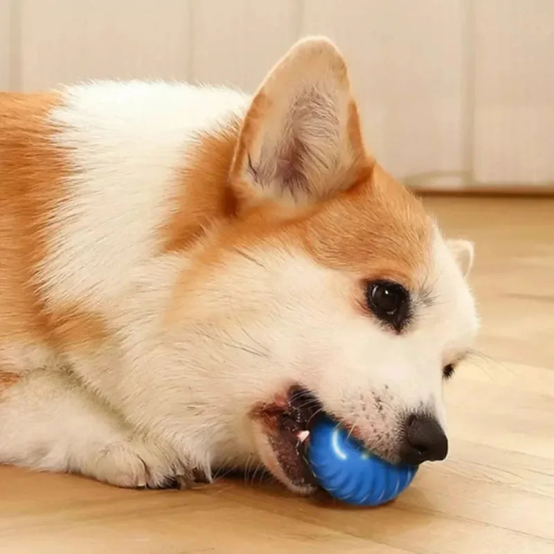 MyInteractiveToy™ Electric Toy Ball