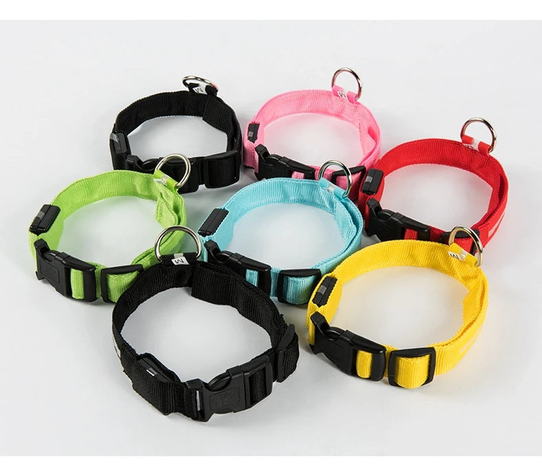 Fido's Plushes™ Glow In the Dark Dog Leash