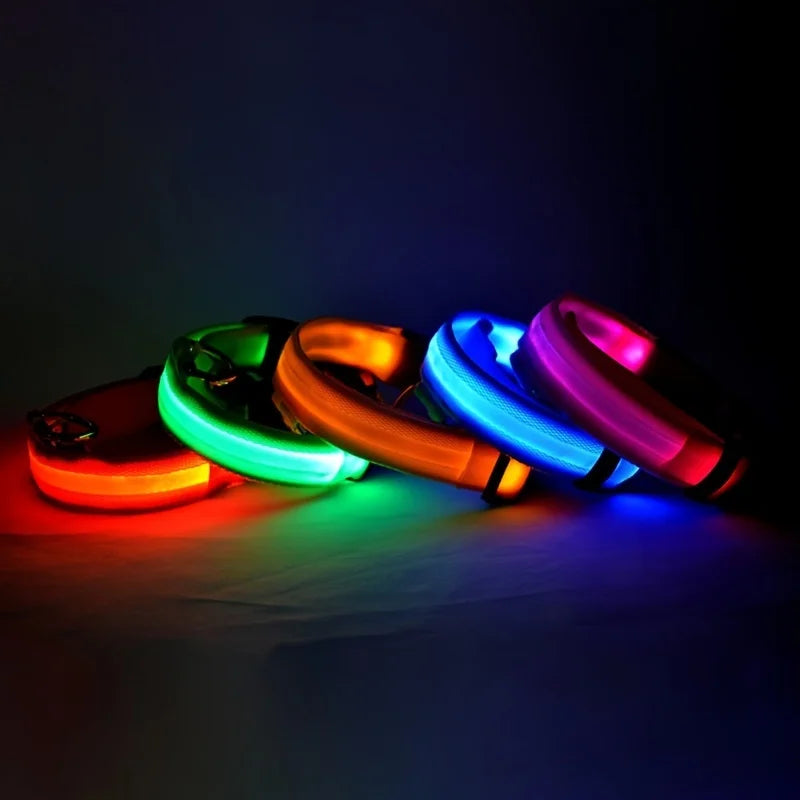 Fido's Plushes™ Glow In the Dark Dog Leash
