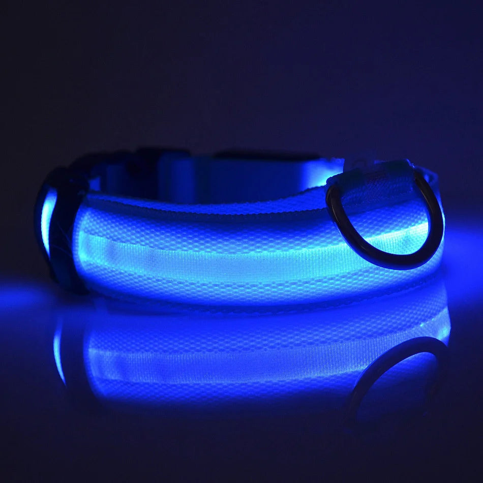 Fido's Plushes™ Glow In the Dark Dog Leash