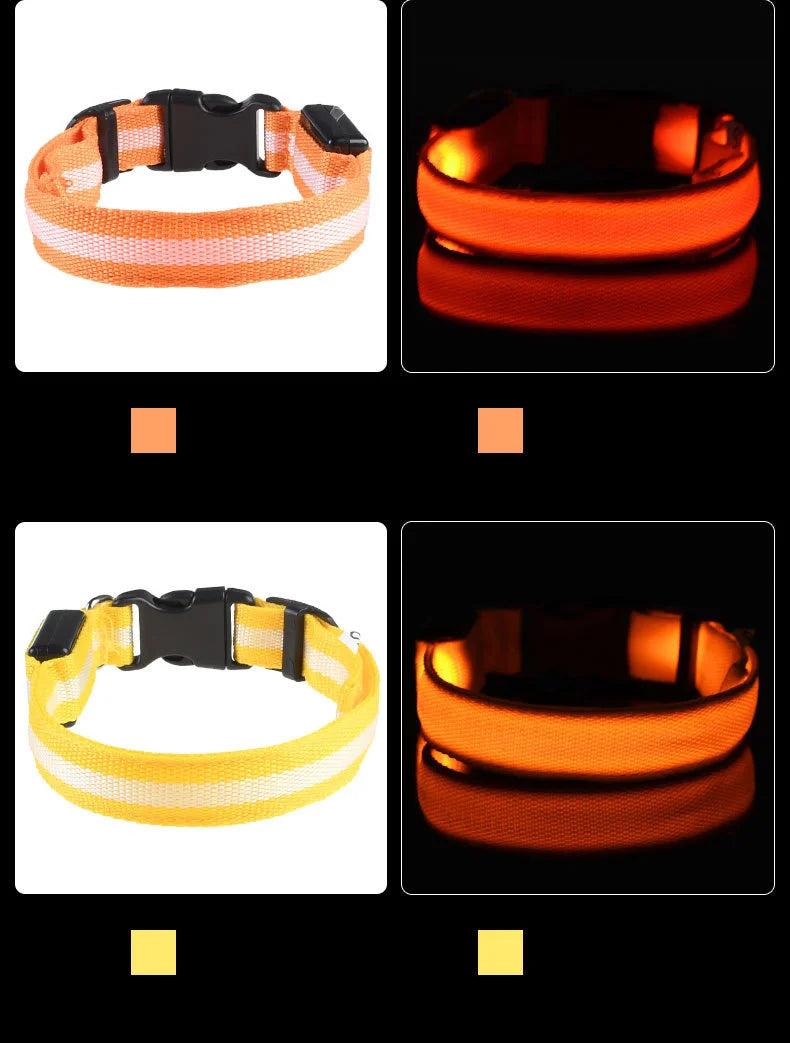 Fido's Plushes™ Glow In the Dark Dog Leash