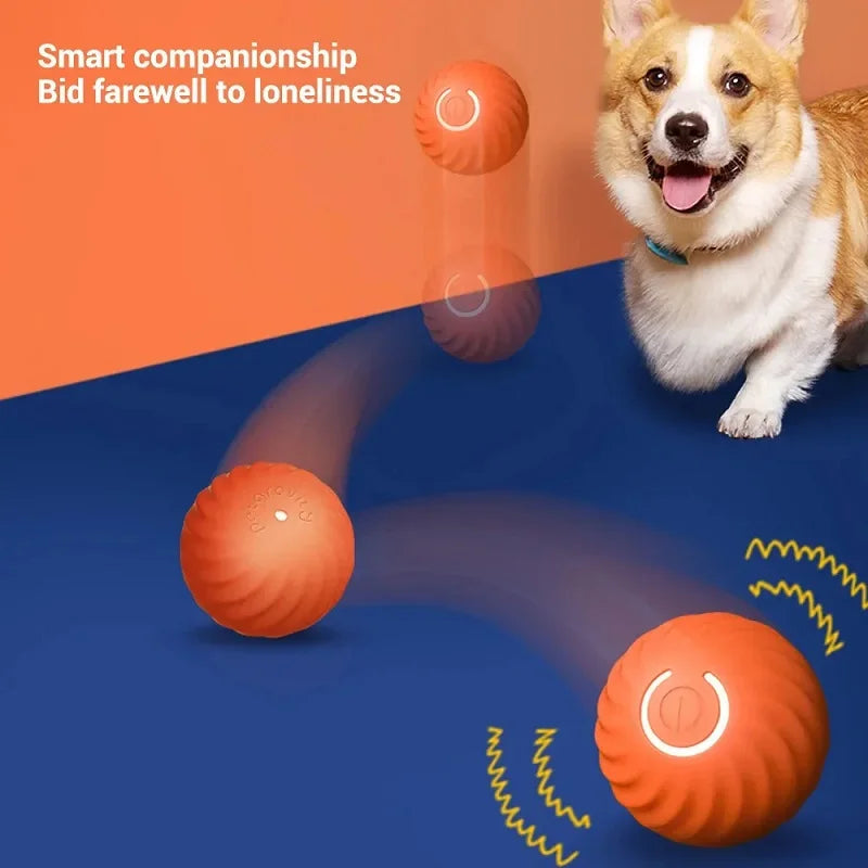MyInteractiveToy™ Electric Toy Ball