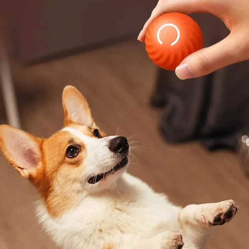 MyInteractiveToy™ Electric Toy Ball