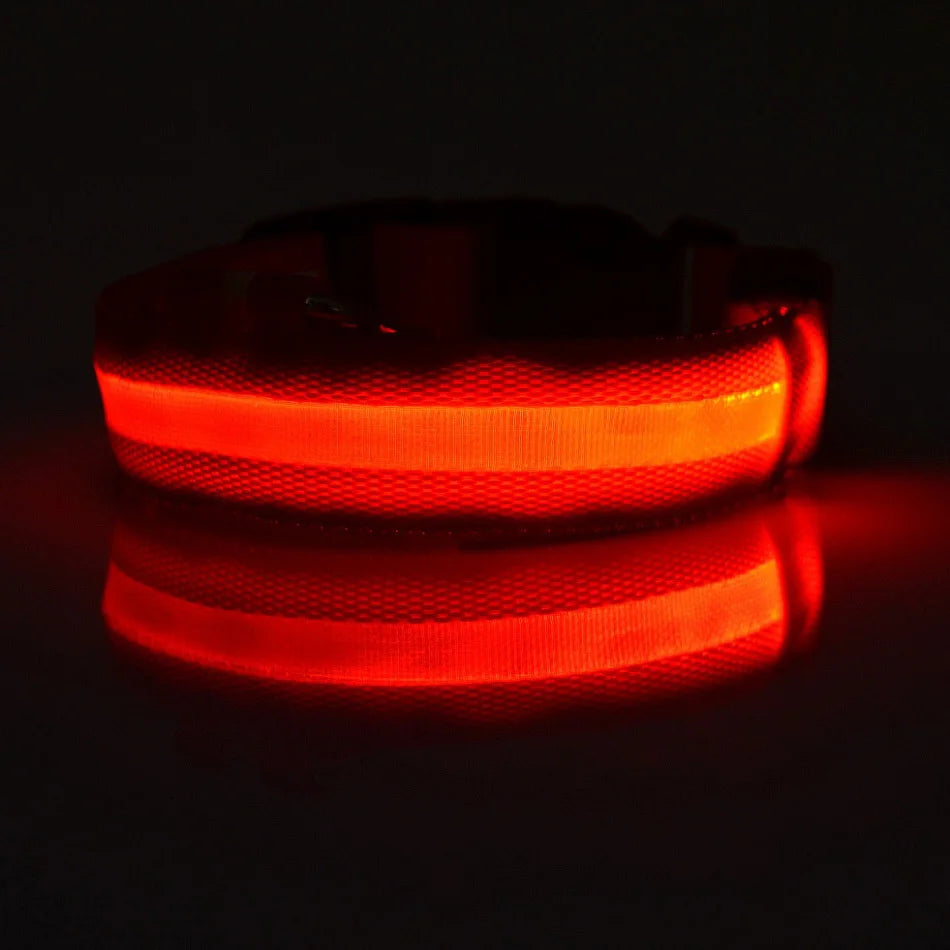 Fido's Plushes™ Glow In the Dark Dog Leash