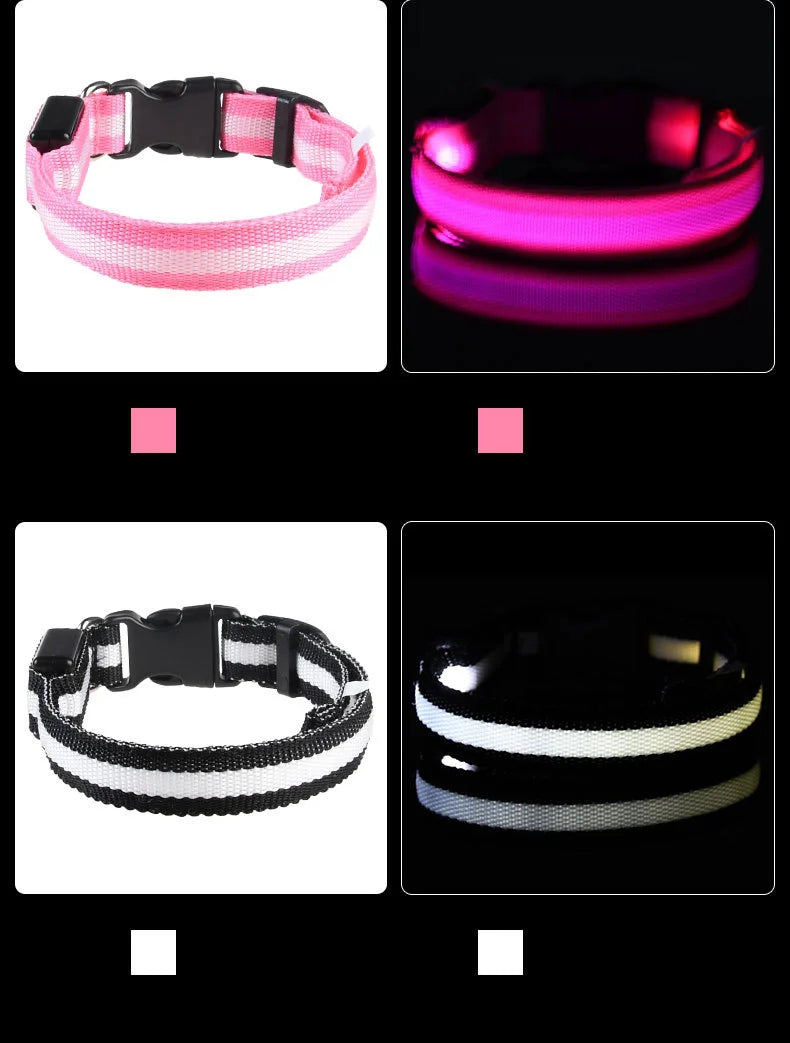 Fido's Plushes™ Glow In the Dark Dog Leash