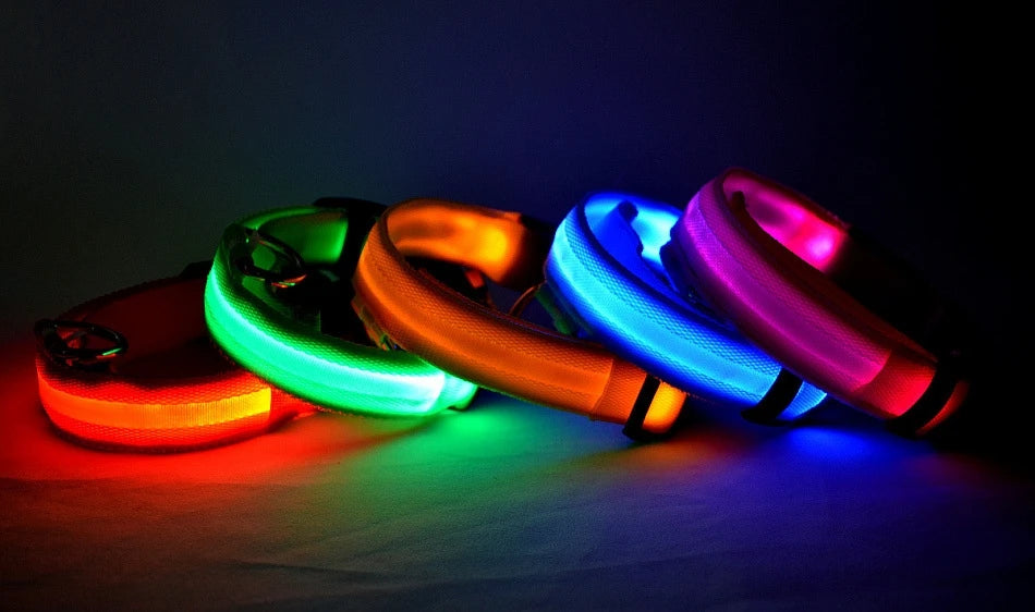 Fido's Plushes™ Glow In the Dark Dog Leash