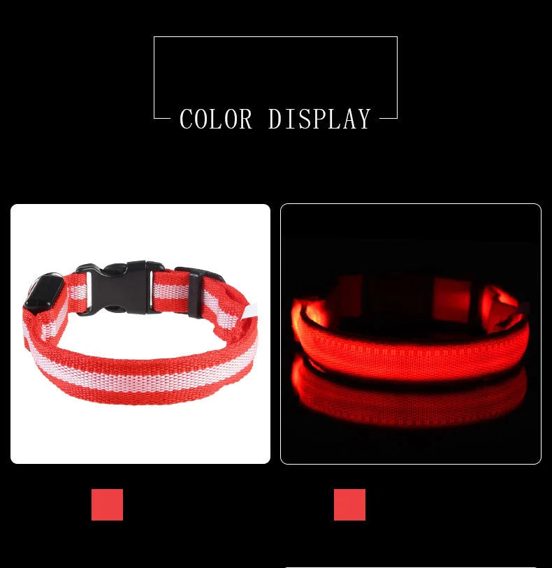 Fido's Plushes™ Glow In the Dark Dog Leash