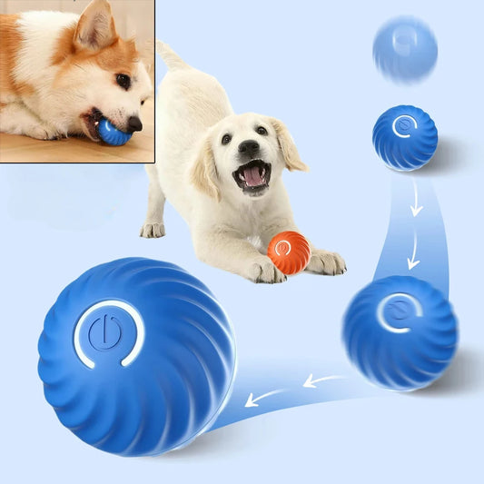 MyInteractiveToy™ Electric Toy Ball